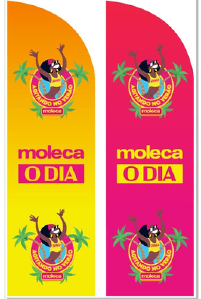 Wind Banner RJ  para Eventos no Rio O Dia Moleca