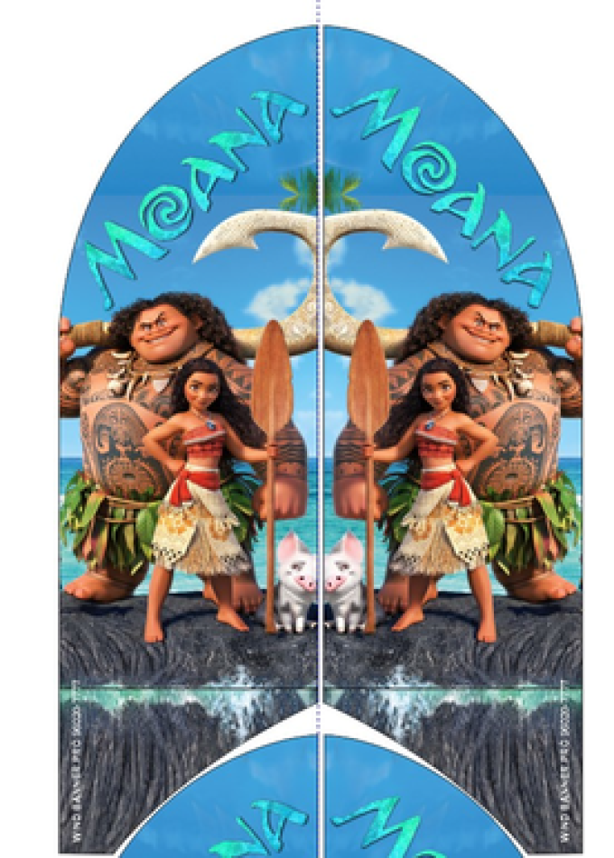Wind Banner RJ  Moana Baby