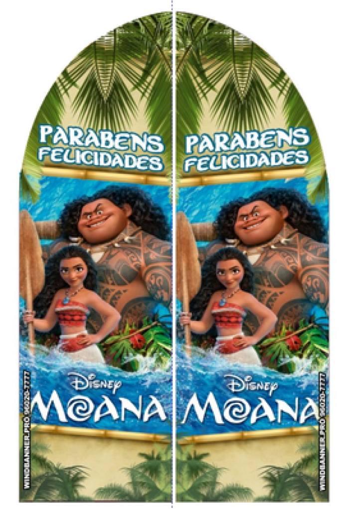 Wind Banner RJ  Moana 2