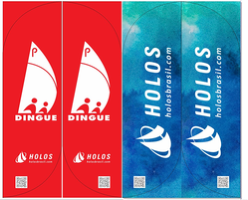 Wind Banner RJ  Holos