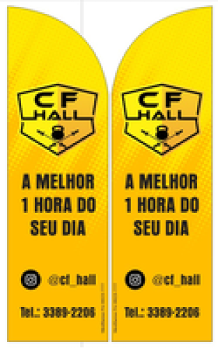 Wind Banner RJ  CF Hall Academia