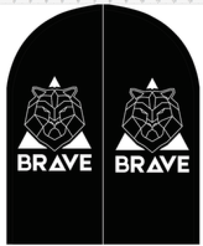 Wind Banner RJ  Brave
