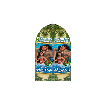 Wind Banner RJ  Moana 2