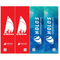 Wind Banner RJ  Holos