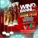 Wind Banner 3D
